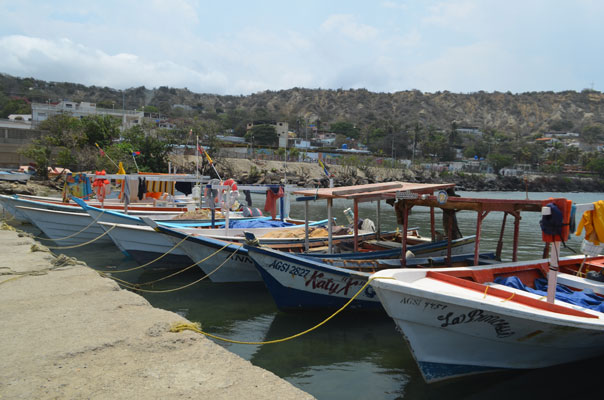 Pescadores de Vargas al borde del colapso por falta de muelle