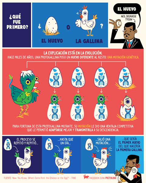 el huevo o la gallina