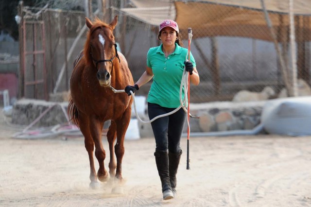 Saudi Dana al-Gosaibi walks a horse during a training session on March 1, 2017, in the Red Sea city of Jeddah. The 35-year-old Saudi horse trainer dreams of opening her own stables to focus on "a more gentle" way of training horses than the standard approach in the male-dominated kingdom. / AFP PHOTO / Amer HILABI