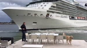Pánico de una familia al ver cómo se aproximaba un crucero a su mansión de lujo (VIDEO)