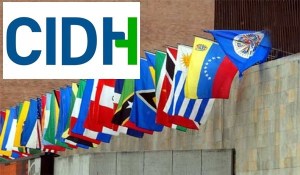 CIDH expresa preocupación por la situación política en Perú