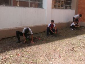 Escolares en Caracas siembran plántulas de cacao en tres escuelas