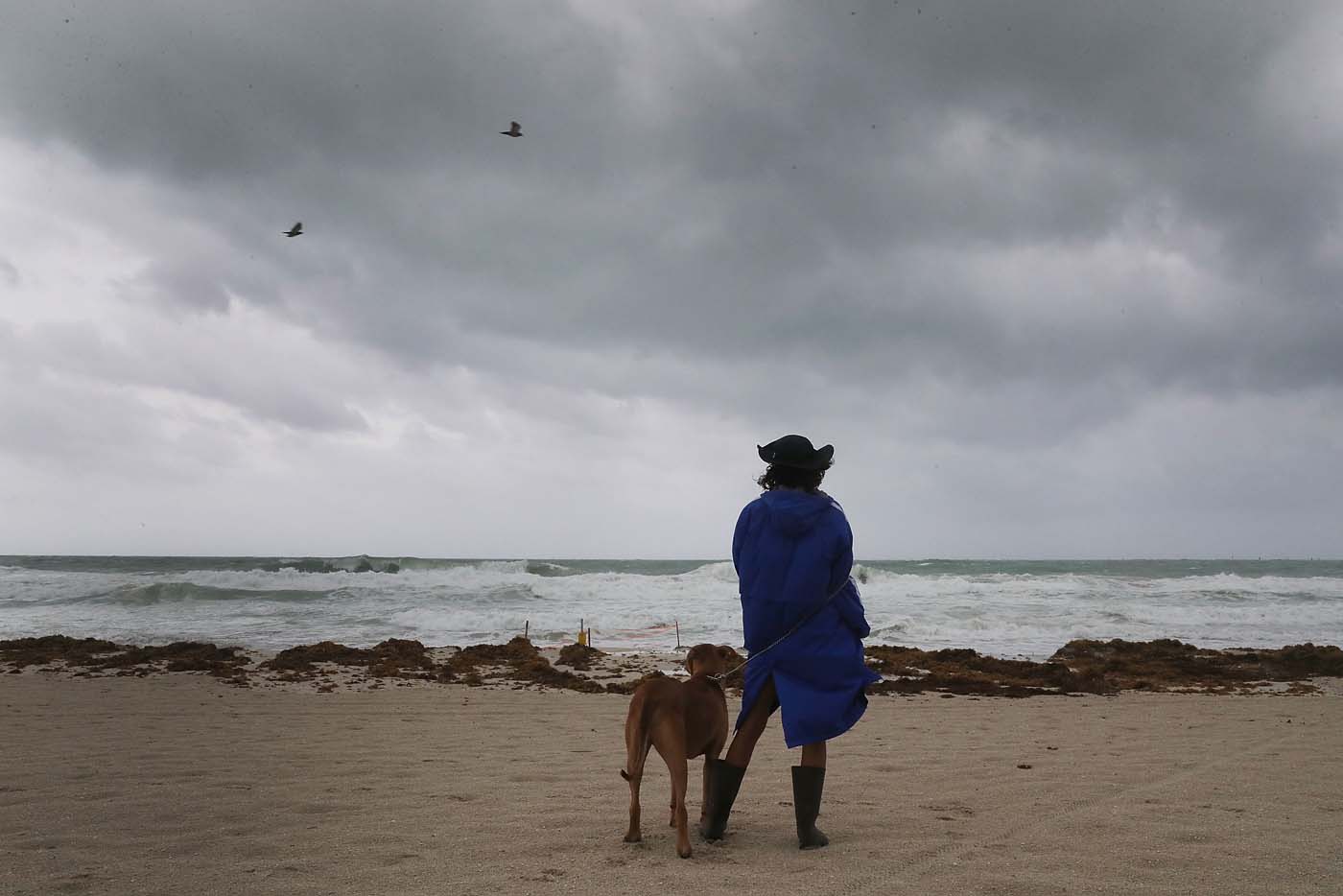 Miami escapa al golpe del ojo de Irma, que azotará los Cayos este domingo