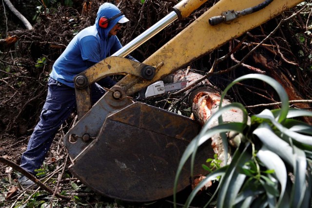 Workers use a backhoe loader and a chainsaw to remove fallen trees from the street remove after the area was hit by Hurricane Maria in Guajataca, Puerto Rico September 23, 2017. REUTERS/Carlos Garcia Rawlins