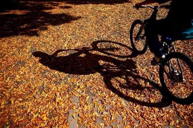A man bikes on a warm autumn day in the central town park in Zenica, Bosnia and Herzegovina, October 13, 2017. REUTERS/Dado Ruvic