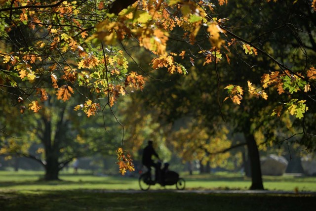 People ride through Tiergarten park on a sunny autumn day in Berlin, Germany October 15, 2017. REUTERS/Stefanie Loos