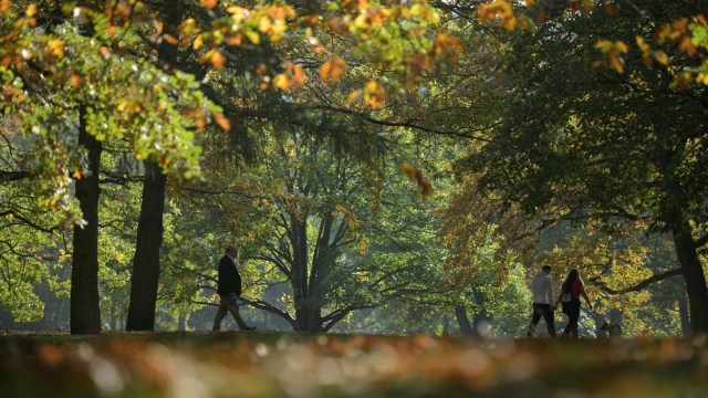 People walk through Tiergarten park on a sunny autumn day in Berlin, Germany October 15, 2017. REUTERS/Stefanie Loos