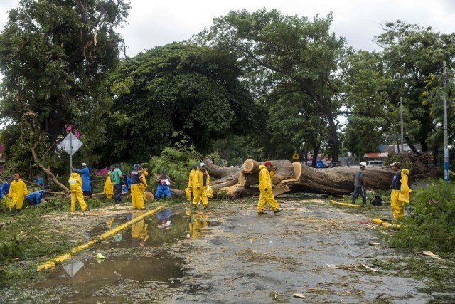MG5002. RIVAS (NICARAGUA), 06/10/2017. Vista de un árbol caído hoy, viernes 06 de octubre de 2017, que se formó en una calle debido las fuertes lluvias durante el paso de la tormenta Nate, en la ciudad de Rivas, a unos 140 kilómetros al oeste de Managua (Nicaragua). La tormenta tropical Nate, que azota Centroamérica, dejó hoy un panorama de destrucción en el sur de Nicaragua con carreteras, negocios y viviendas dañadas, además de centenares de árboles caídos. EFE/Jorge Torres