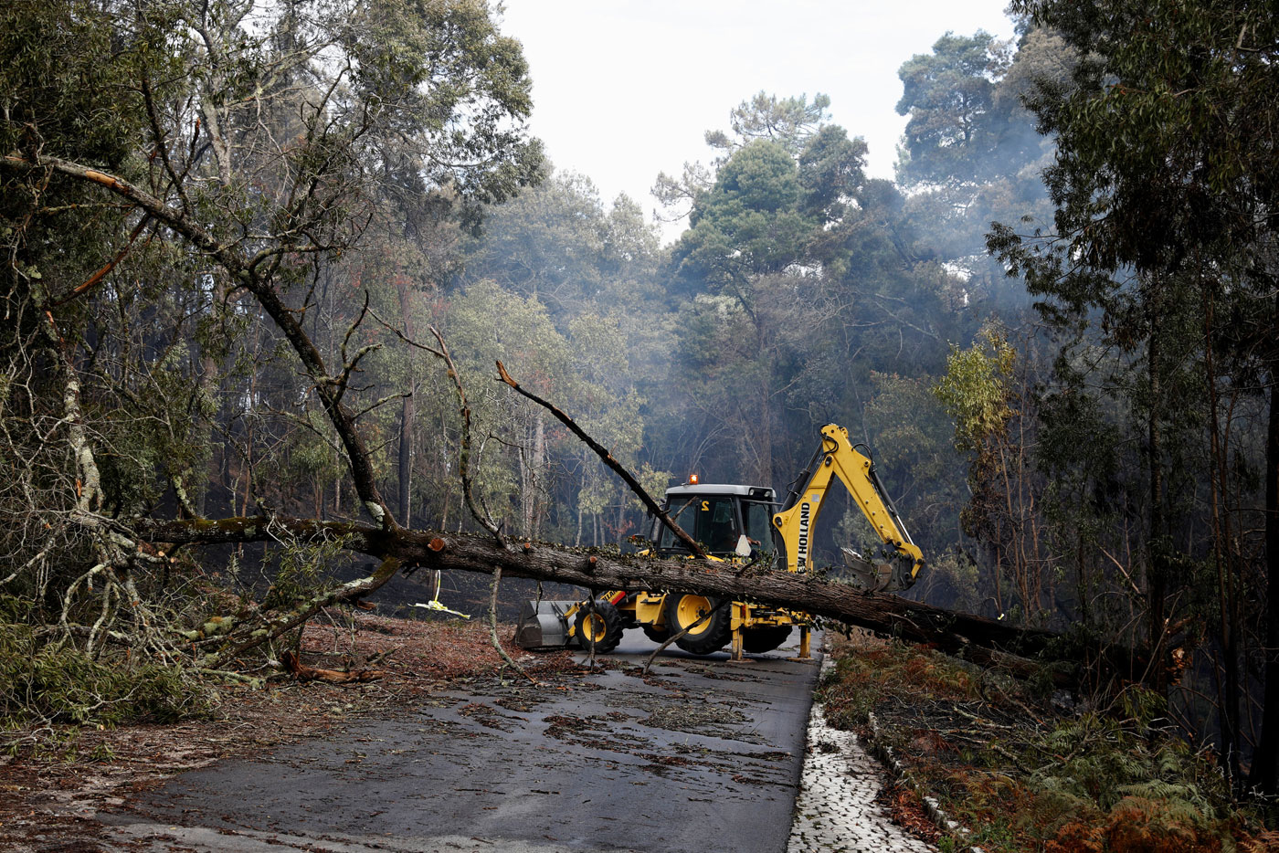 Suben a 37 los muertos y 71 los heridos por incendios en Portugal