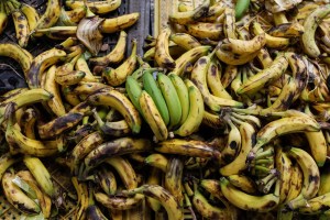 Desarrollan un nuevo método para obtener hidrógeno a partir de cáscaras de plátano