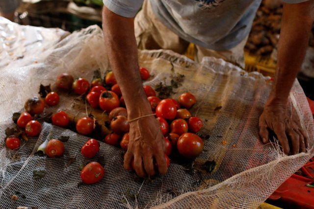 Un hombre selecciona tomates en un mercado callejero de verduras en Caracas, Venezuela el 19 de diciembre de 2017. Foto tomada el 19 de diciembre de 2017. REUTERS / Marco Bello