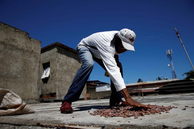 Yoffre Echarri extends cocoa beans to dry them at the roof of his house in Caruao, Venezuela October 24, 2017. Picture taken October 24, 2017. REUTERS/Carlos Garcia Rawlins