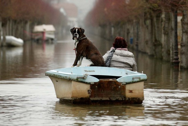 VAL107. VILLENNES SUR SEINE (FRANCIA), 30/01/2018.- Una mujer pasea con su perro en un barco durante las inundaciones del río Sena a su paso por Villennes Sur Seine (Francia) hoy, 30 de enero de 2018. Las numerosas lluvias han provocado la crecida del Sena hasta causar inundaciones en París y sus alrededores. EFE/ Yoan Valat