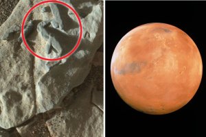 Explorador de Marte rastreó posibles fósiles marinos (FOTO)