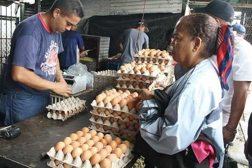 El precio del cartón de huevo superó el sueldo mínimo en Maracay
