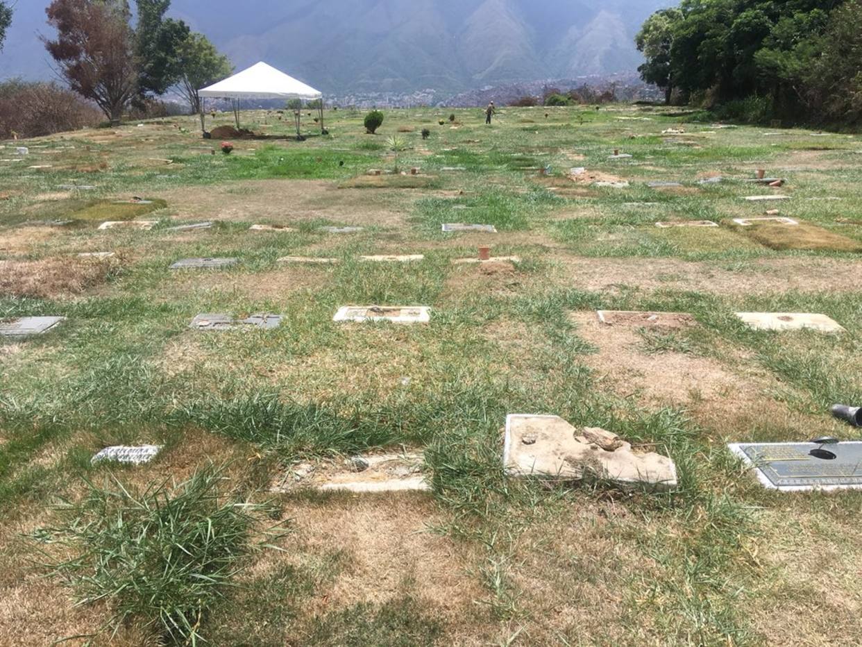 Reportan desaparición de placas de bronce en el Cementerio del Este