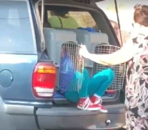 Se llevó de compras a sus nietos dentro de jaulas para perros (VIDEO)
