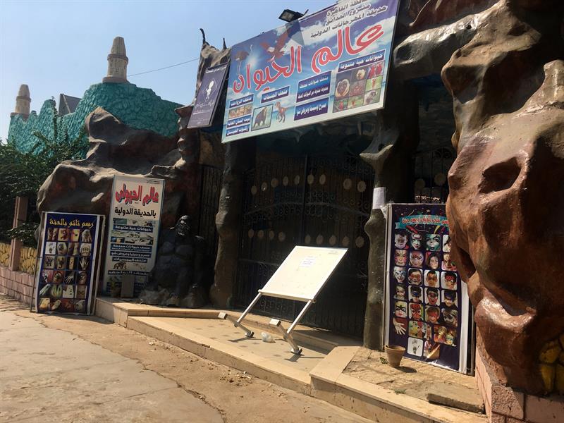 Una foto de una burra pintada de cebra mete en un lío a un zoológico egipcio