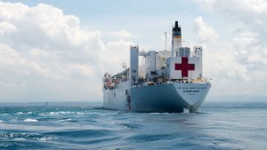 Médicos venezolanos en EEUU se organizan para ser voluntarios en buque hospital