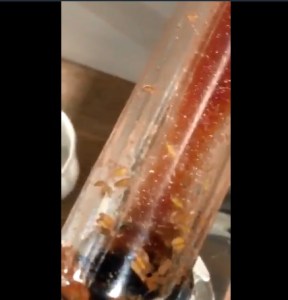El perturbador hallazgo de una estudiante en un dispensador de salsa de tomate (Video + McGusanos)