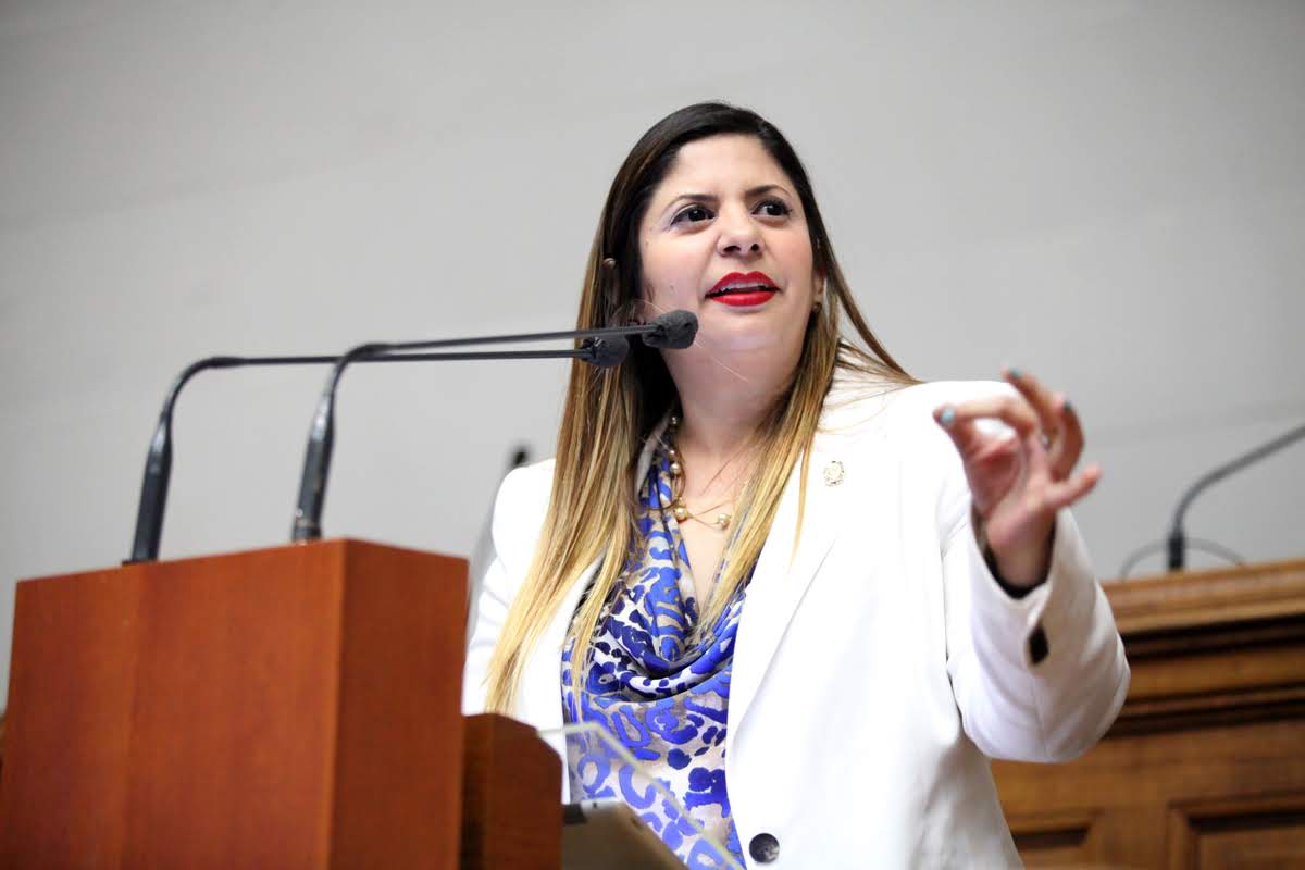 Diputada Nora Bracho asegura que en Venezuela la pobreza esta feminizada (VIDEOS)