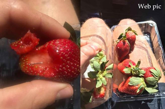 Escondía agujas en las fresas de supermercado tras ser despedida de una granja