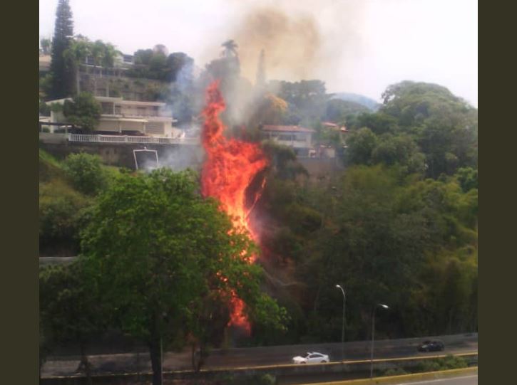 En VIDEO: Incendio forestal en Prados del Este, antes del Túnel de La Trinidad
