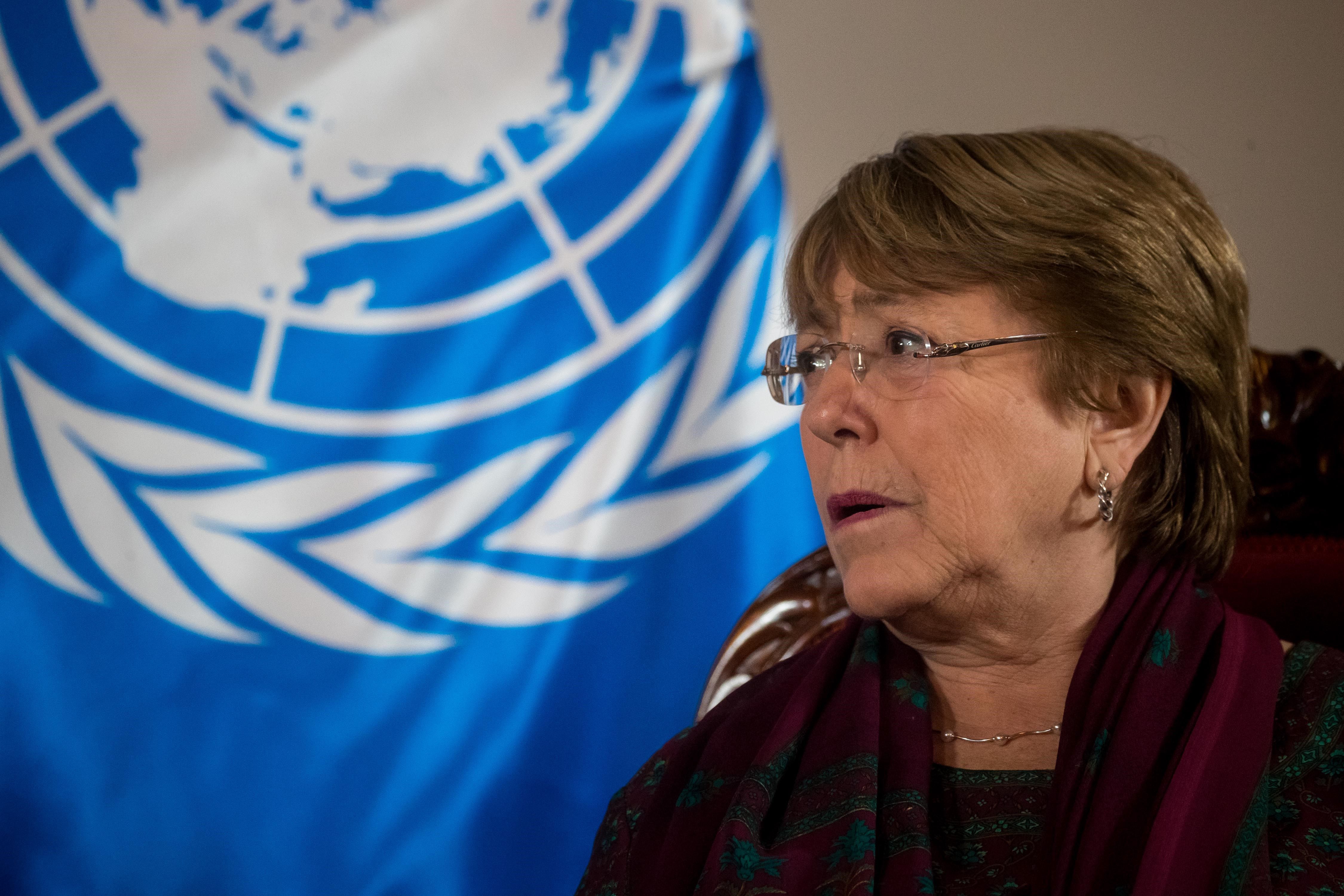 Las denuncias de Acceso a la Justicia ante Bachelet