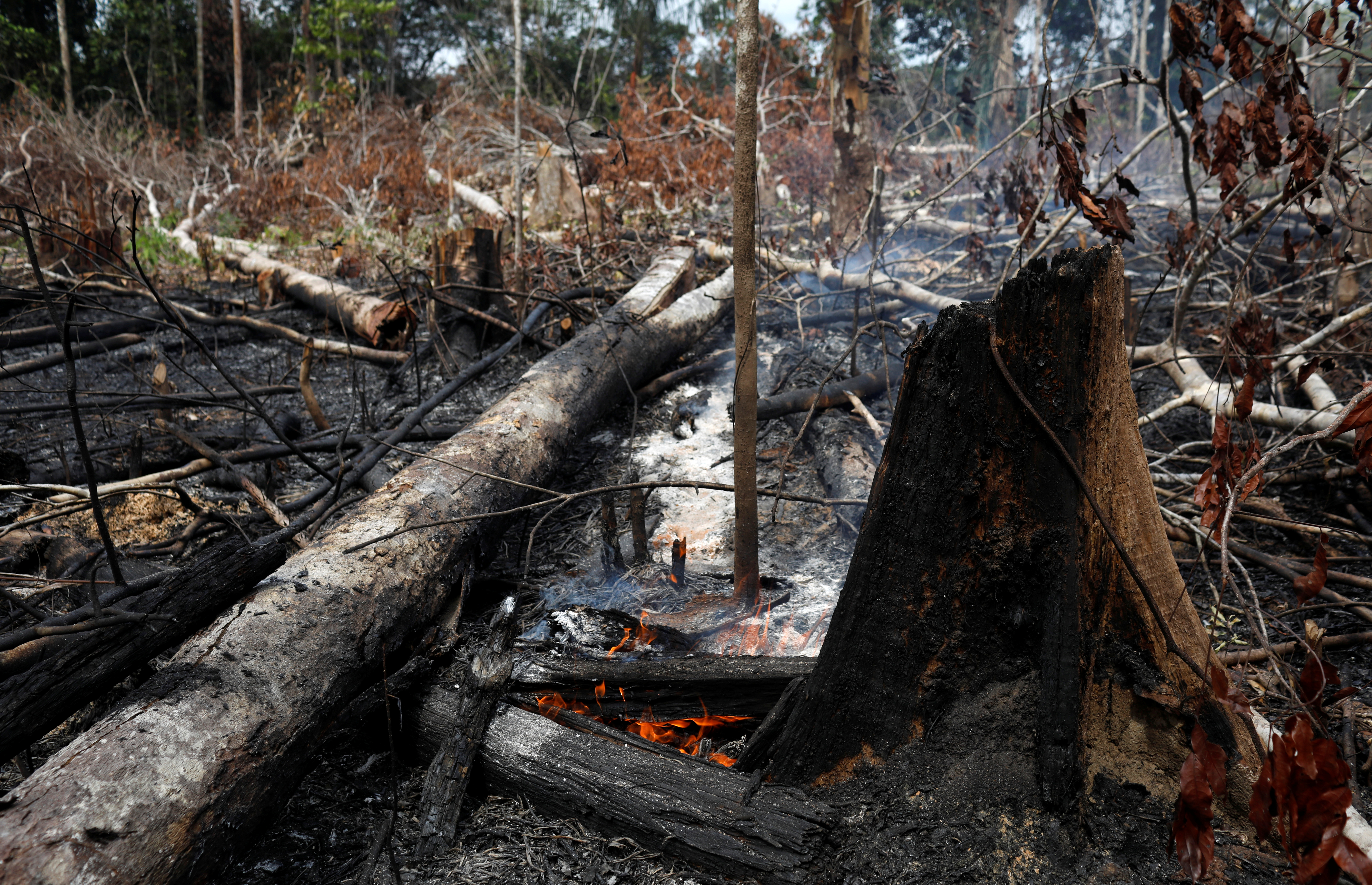 LAS FOTOS engañosas sobre los incendios en la Amazonia