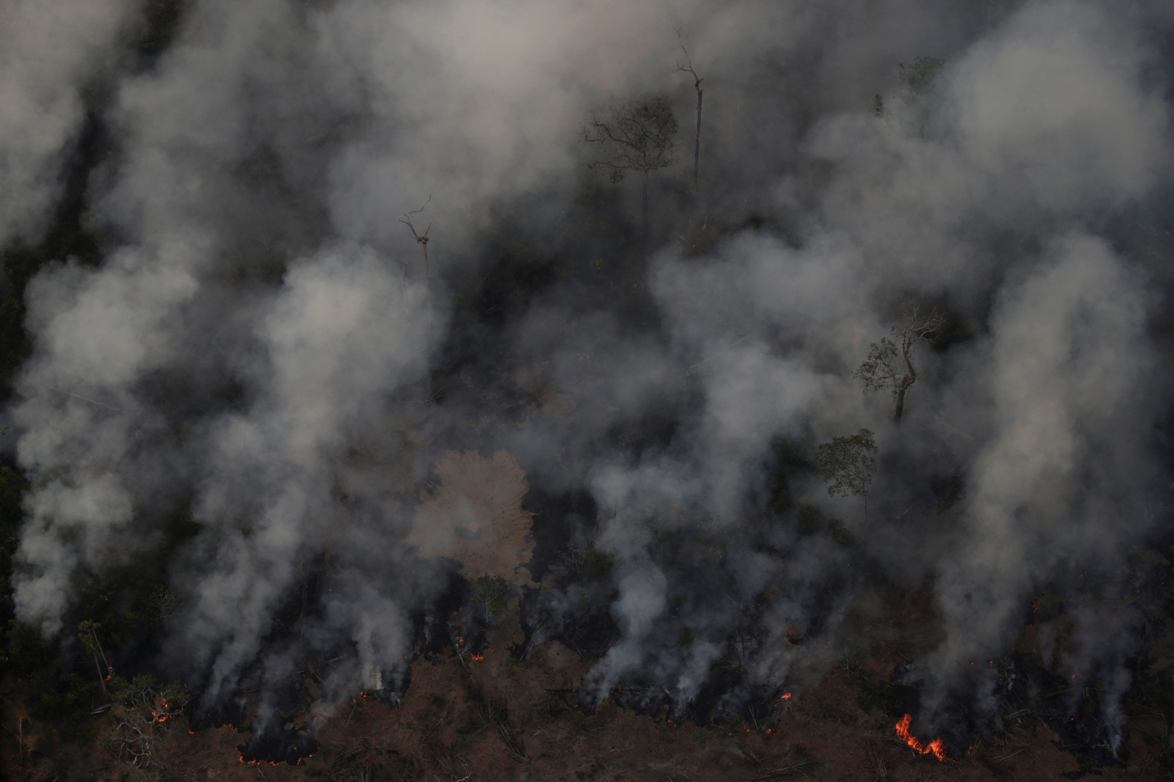 Expertos españoles, franceses y daneses ayudarán a Bolivia en los incendios