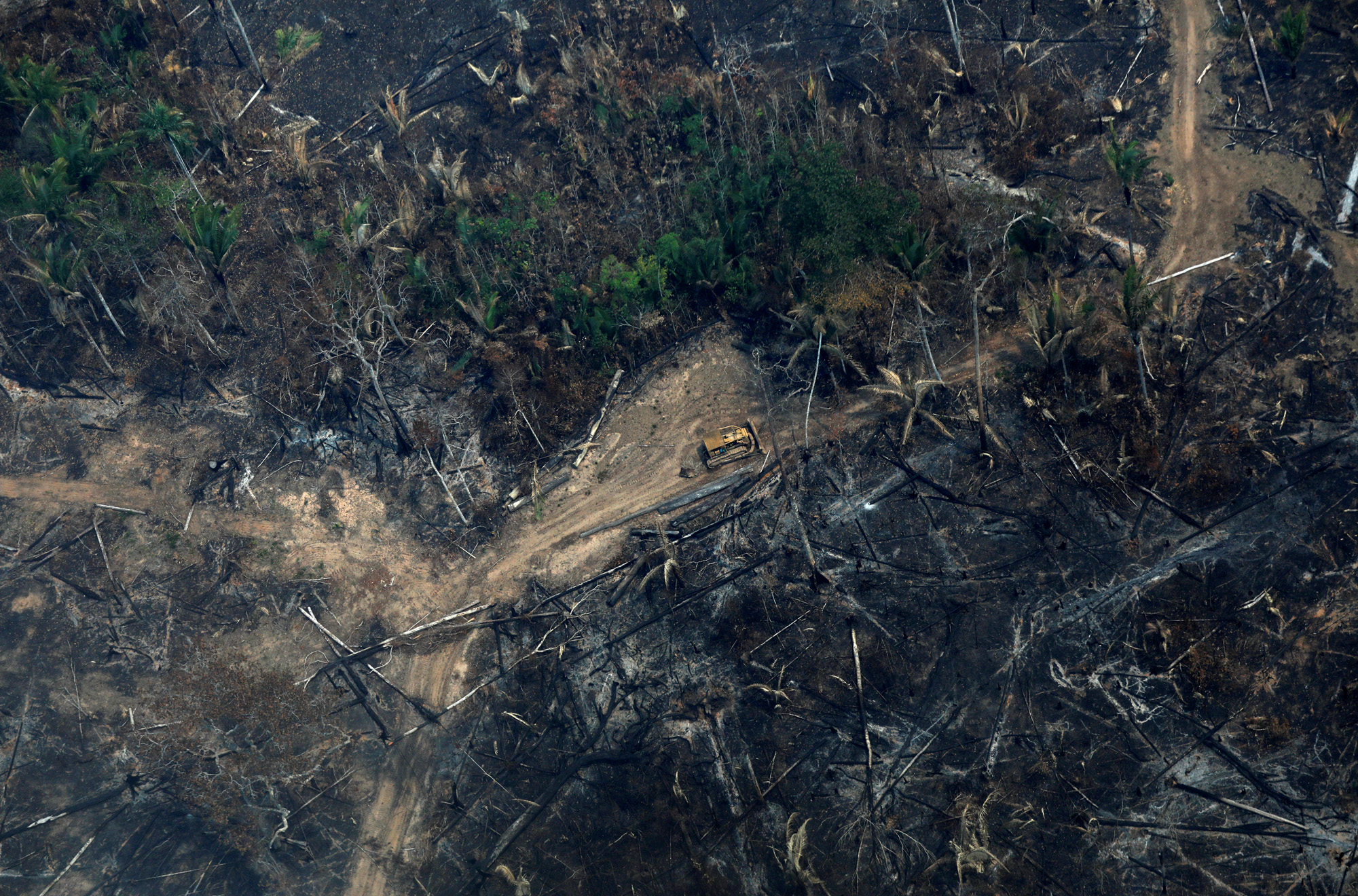 Bolsonaro finalmente aceptará la ayuda extranjera para  combatir incendios del Amazonas