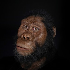 Encuentran en Etiopía el cráneo de un antepasado perdido del Homo Sapiens (FOTO)