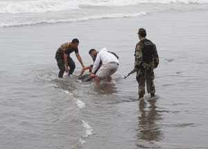 Rescatan a una venezolana que intentó morir ahogada en las playas de Perú