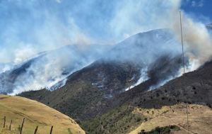 Caída de un cable de alta tensión provocó incendio en el Parque Nacional Juan Pablo Peñaloza (Fotos)