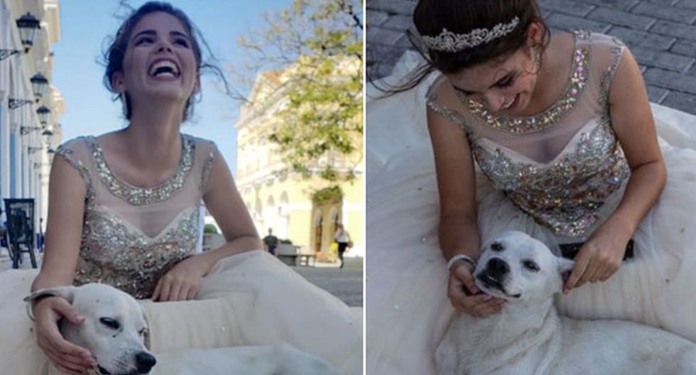 Esta quinceañera tomaba sus fotos… pero un Firulais le robó la atención (FOTOS)