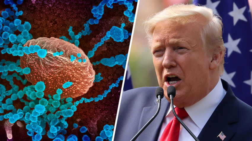 Trump revelará su plan para batallar el coronavirus en EEUU