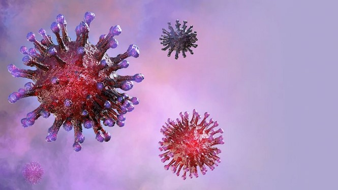 “Hola, humanos… soy el coronavirus”: La explicación en clave sarcástica sobre lo que no hay que hacer en la pandemia