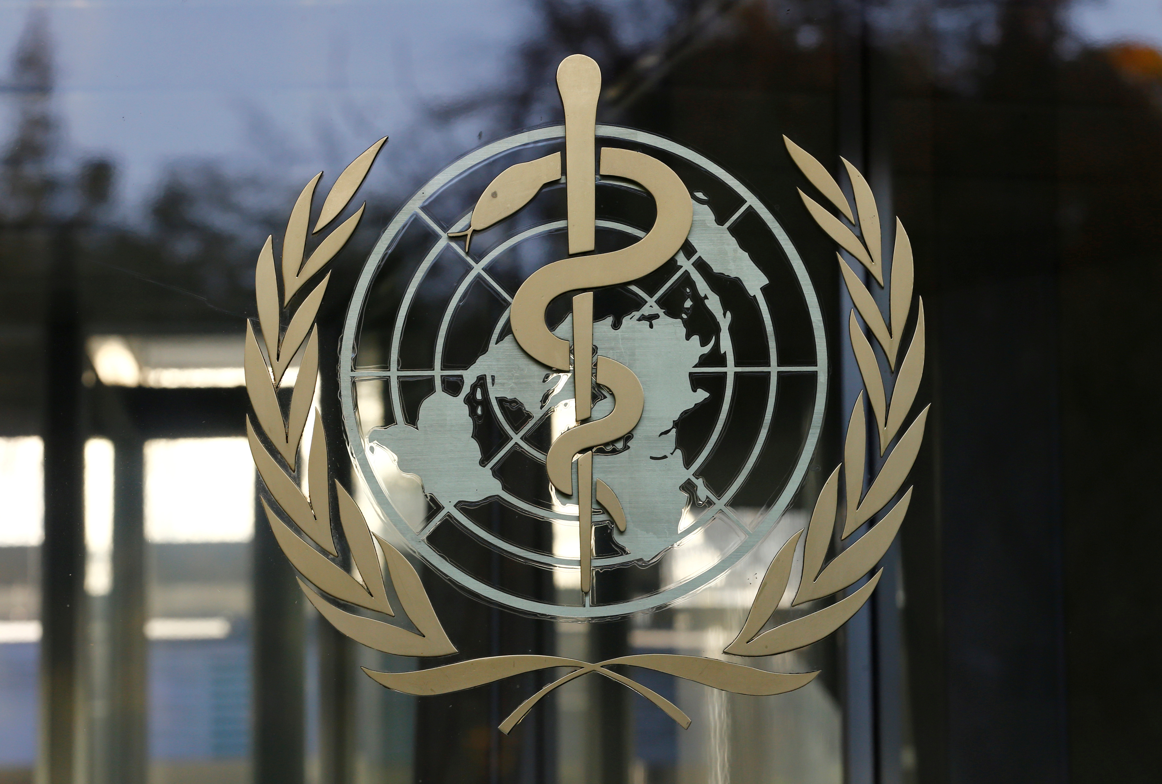OMS pide a China que “le invite” para investigar orígenes del nuevo coronavirus