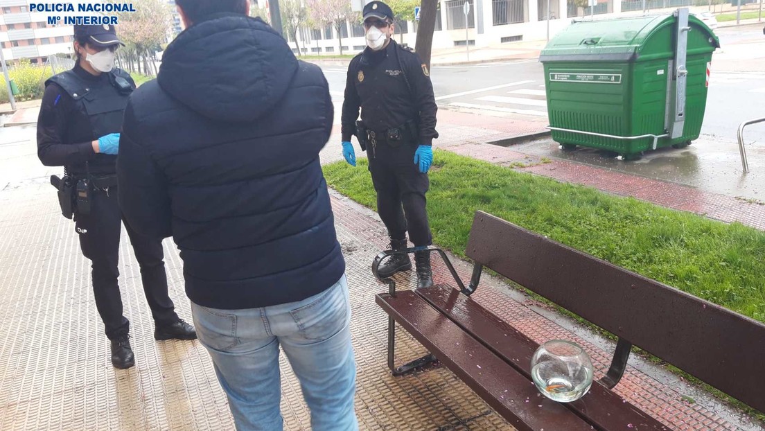 ¡TODO MAL! Quería salir y se le ocurrió sacar a “pasear”… a sus PECES (FOTO)