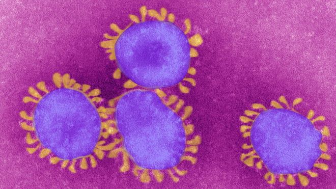 Qué es un virus endémico, en lo que se podría convertir el que causa la Covid-19 (y qué ejemplos hay en el mundo)