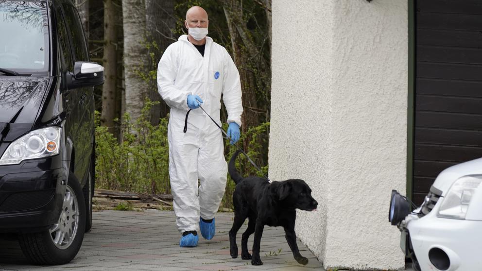 Reino Unido hará ensayos con perros para que detecten el coronavirus