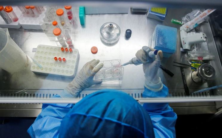 Un prestigioso experto en vacunas asegura que el coronavirus está “adaptado de manera única para infectar a los humanos”
