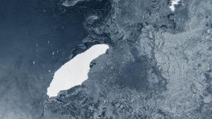 A-68, el iceberg más grande del mundo se adentró en el Atlántico Sur, a varios kilómetros de Argentina