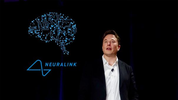 Neuralink de Elon Musk bajo investigación federal por matar 1.500 animales en pruebas fallidas
