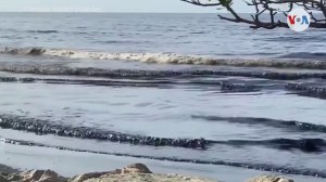 Exigen a Pdvsa informar cuál hidrocarburo se derramó en costas venezolanas (Video)