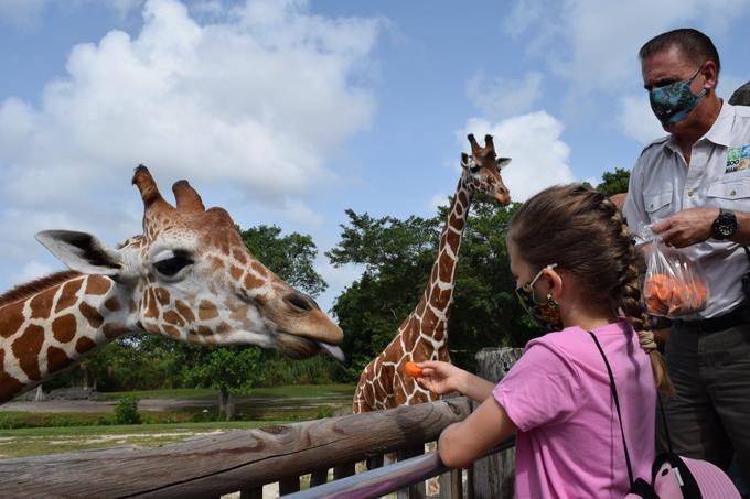 Zoológico de Miami ofrece visita privada a niña con cáncer que pidió un deseo