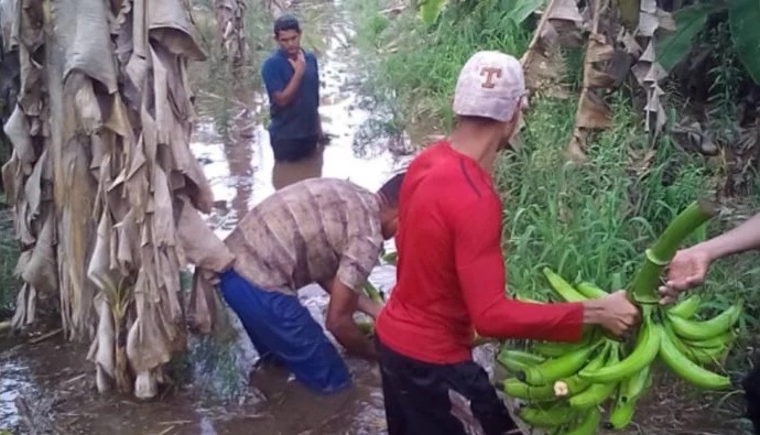 Productores en Zulia sin poder cruzar el río Chama luego de 10 días desbordado