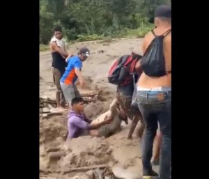 Terroríficas imágenes: Migrantes venezolanos se enfrentan a un calvario para cruzar las trochas (VIDEO)
