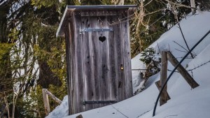 “Algo me mordió el trasero”: Se encontró un oso dentro de una letrina en Alaska