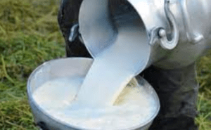 Tachirenses optan por la leche no procesada ante el incremento de los precios